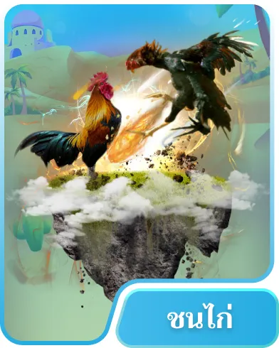 game card ชนไก่